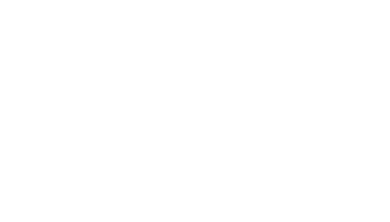 Visual Solutions Overlay